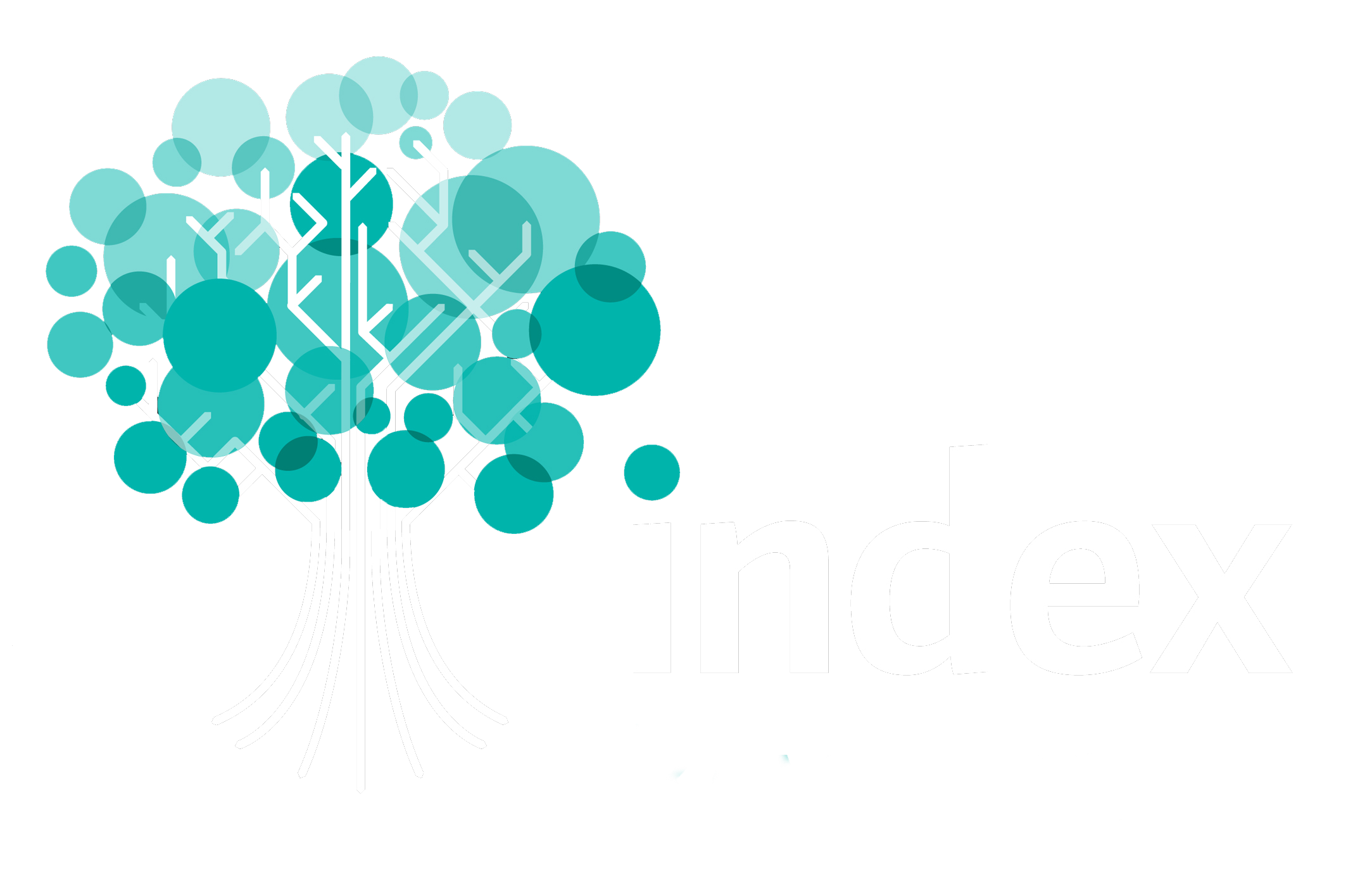 Index Nacional Logo