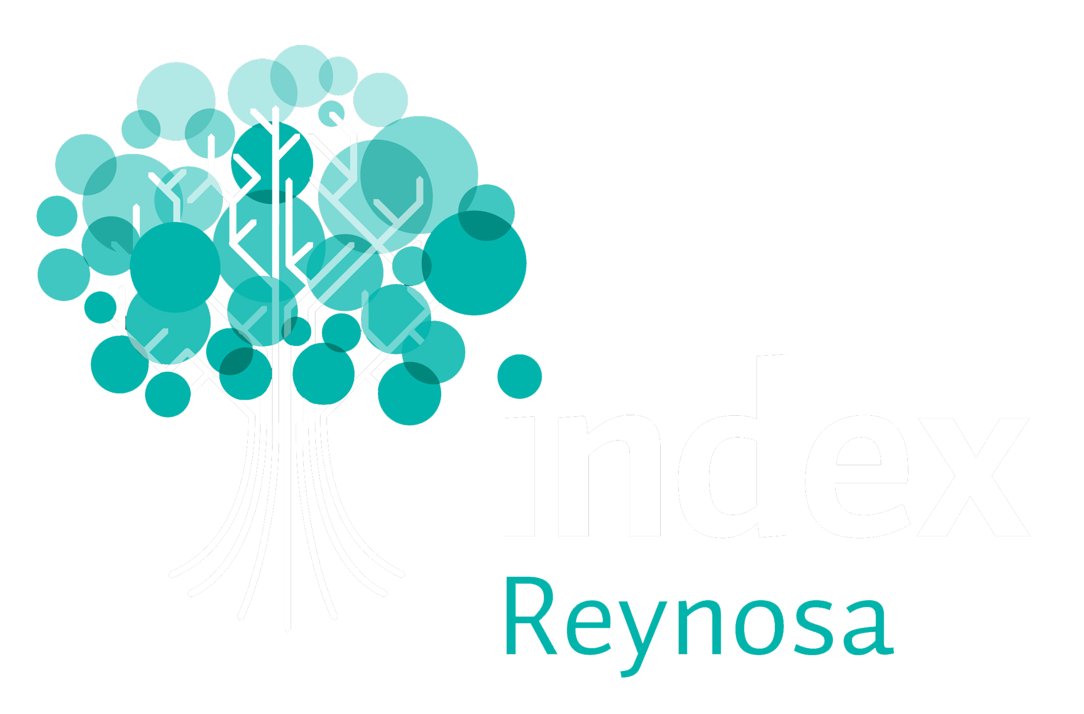 Index Reynosa
